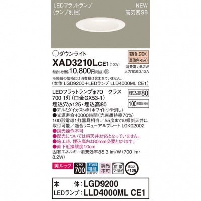 ѥʥ˥å LED饤 8H ⵤ̩SB 125 ŵ忧 Ȼ å XAD3210LCE1