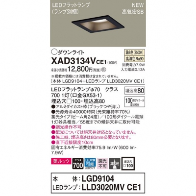 ѥʥ˥å LED饤 100  8H ⵤ̩SB ӡ24  å XAD3134VCE1