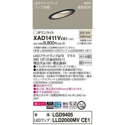 ѥʥ˥å LED饤 ŷ 100  8H ⵤ̩SB Ȼ å XAD1411VCE1