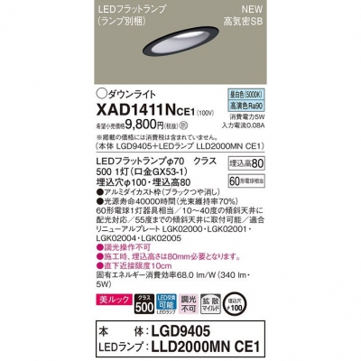 パナソニック EDダウンライト 傾斜天井用 埋込穴φ100 昼白色 浅型8H 高