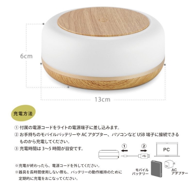 ֥å BRIDGES LEDʥȥ饤 饤  å饤 å饤 LED ʥ å  USB ץ BNL01NW 5