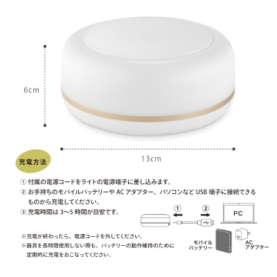 ֥å BRIDGES LEDʥȥ饤 饤  å饤 å饤 LED  ۥ磻 USB ץ BNL01W 5