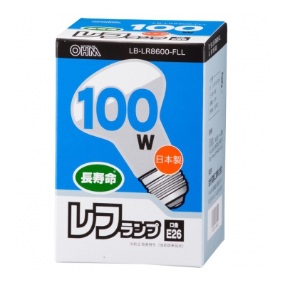 ե 100W/E26 []06-1831