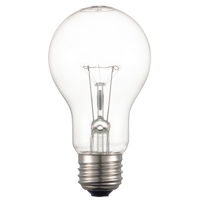 ŵ ѿŵ E26 100W ꥢ []06-0583 TA-606100C 2