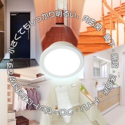 ŵ LEDߥ˥󥰥饤 60 960롼  []06-5504 LE-Y9DG-W 3