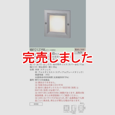 ѥʥ˥å LEDեåȥ饤 ŵ忧  ܥå ɱ  10 NNY21236KLE1