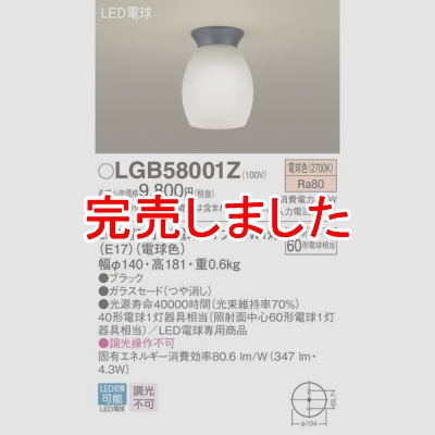 LED󥰥饤 ŵ忧 ŷľշ ȼ濴60ŵ1