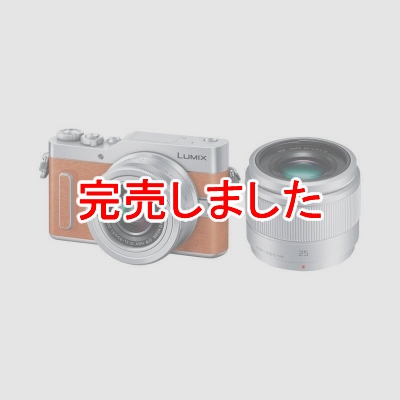 Panasonic ミラーレス一眼カメラ ダブルズームレンズキット オレンジ