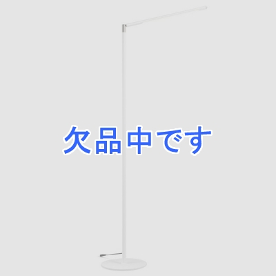 ֥å BRIDGES LEDեɥ饤  ۥ磻 ץ  ƥꥢ 饤 BFSL01W