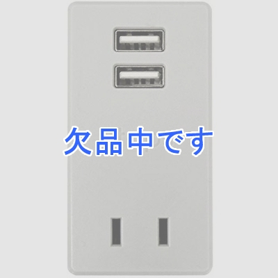 ȥåץ USBޡȥå 2.4A 륬 졼  2ĸ USB2ݡ TPP300-GR